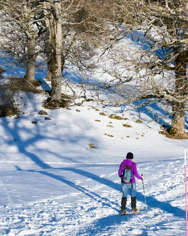 Atlas Mountain Hikes
