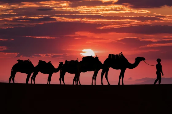 Agafay Desert Quad Bike & Camel Ride, Ourika Valley & Dinner Show from Marrakech